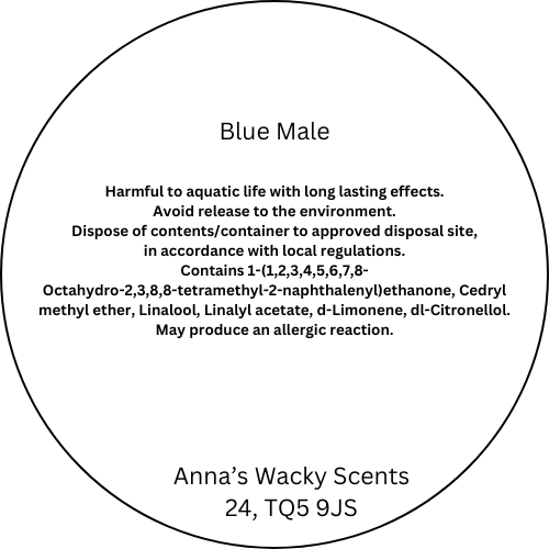 Blue Male Snap Bar Wax Melts