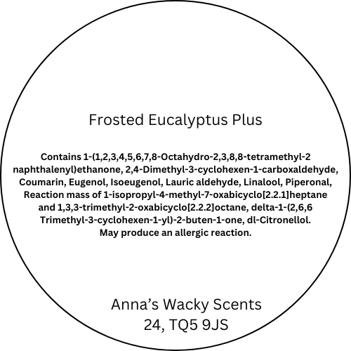 Frosted Eucalyptus Plus Odouraze Snap Bar Wax Melts