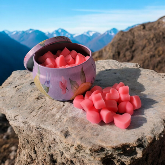 Bubblegum Mini Heart Wax Melts